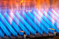 Layer De La Haye gas fired boilers